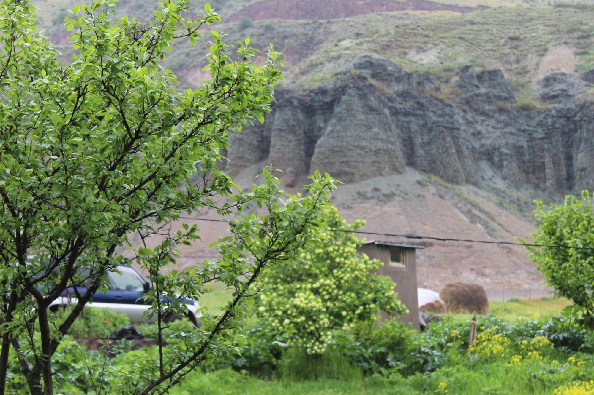 Tirebi Farmhouse Vardzia  Exterior photo